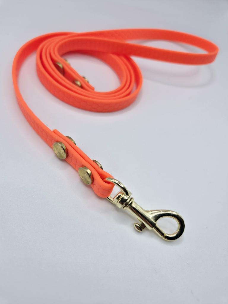 Hexa Leine Neonorange